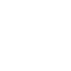 рубионика